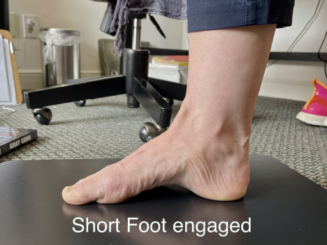 Foot Exercises to integrate the foot to deep muscle core connection. Another reason to be strong! - EQUIVITA